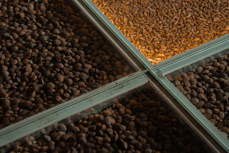 Una selección de diferentes granos de café y café tostado, mostrando variedad